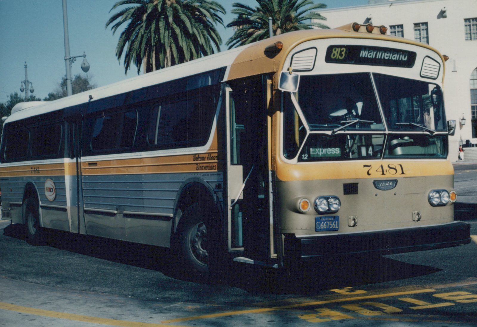 A gold and silver bus with fleet number 7481 and route 813 to Marineland, operated by Los Angeles MTA, parked on a street with palm trees in the background.