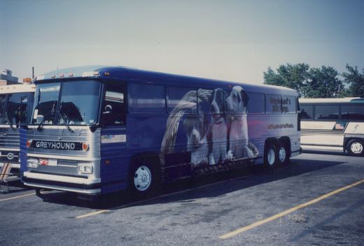 A blue and silver Greyhound bus with the number 2073 parked in a lot on a clear day, showing a large side ad with dogs and the text 'Greyhound's Kids Fares.' A date stamp reads '9 1 '96.'