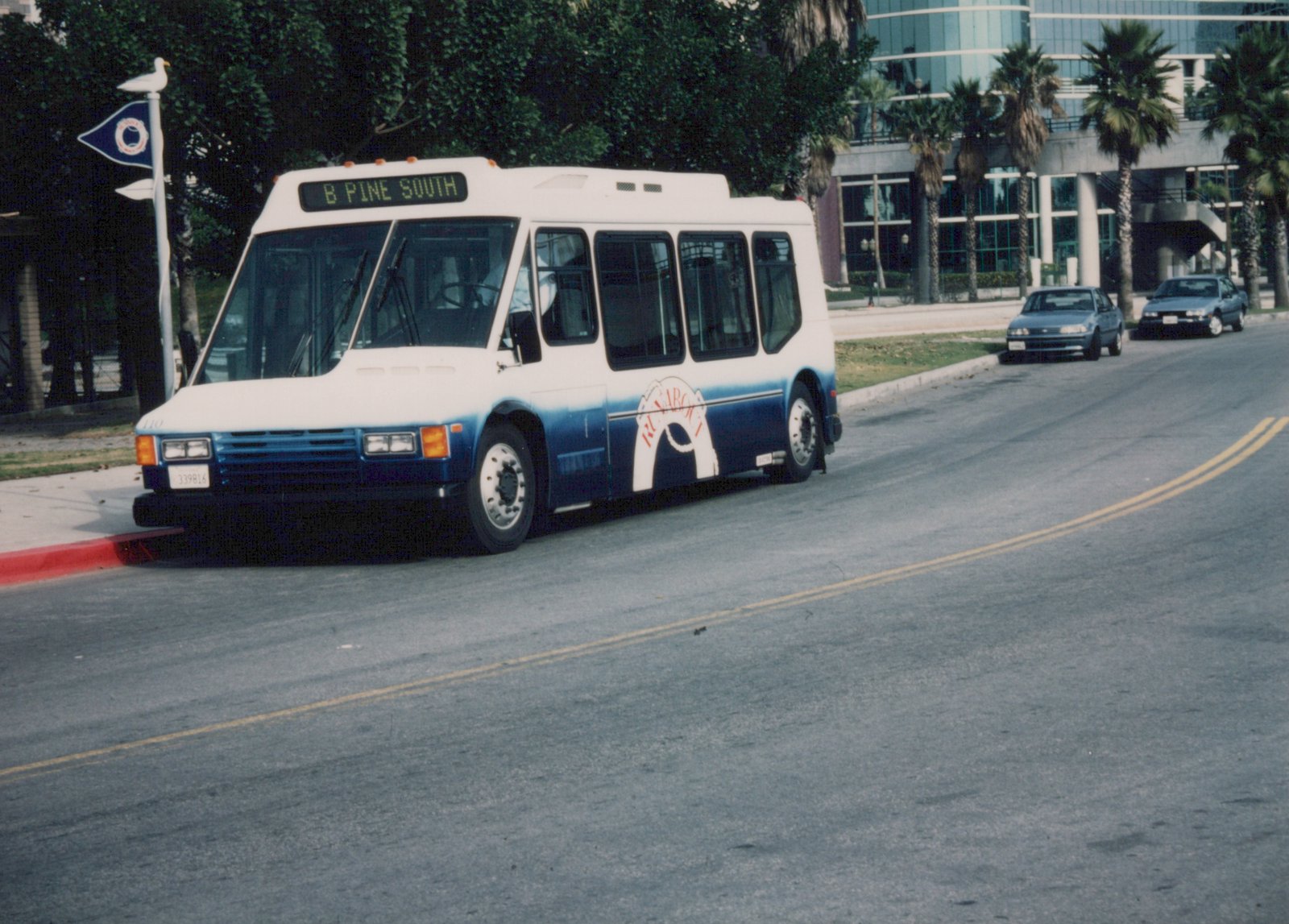 A white and blue Rumbo bus with the number 110 on its front, showing 'B PINE SOUTH' as its destination, is parked on a street lined with palm trees.