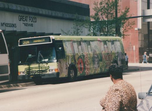A yellow and green city bus with a full-side zoo advertisement is stopped on a street, with a building labeled 'McKesson's Great Food' in the background and a person in a leopard-print shirt in the foreground.