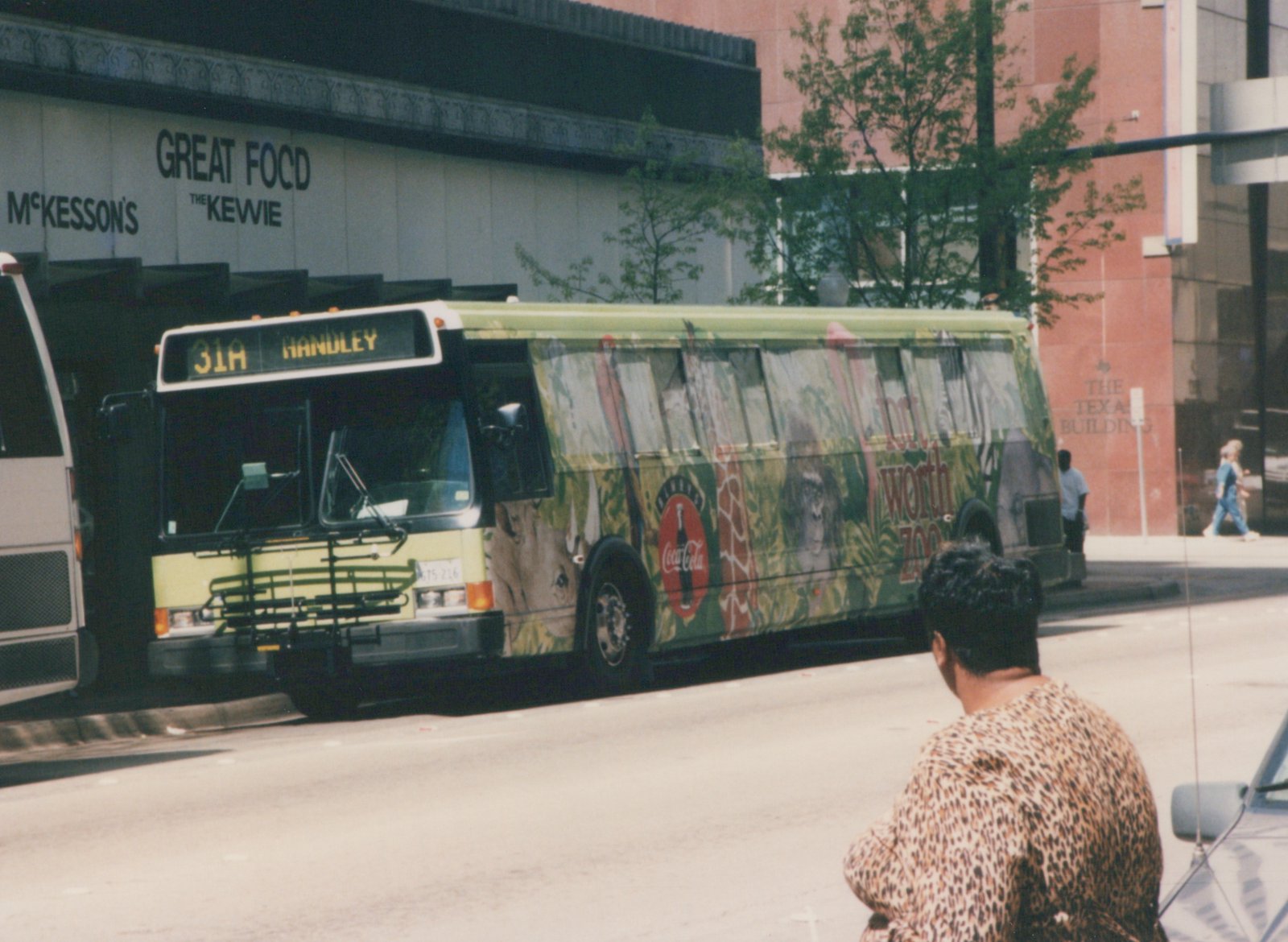 A yellow and green city bus with a full-side zoo advertisement is stopped on a street, with a building labeled 'McKesson's Great Food' in the background and a person in a leopard-print shirt in the foreground.