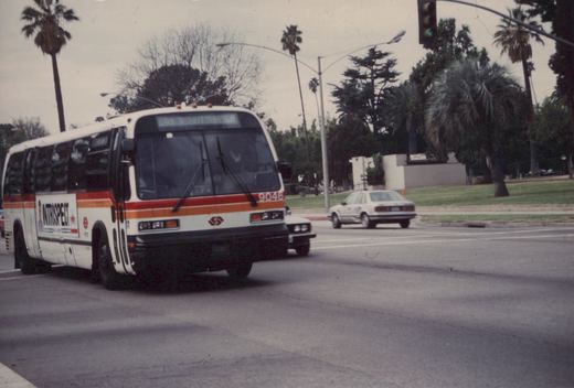 A white and orange bus with the number 9046 and 'INTROSPECT' advertisement on its side drives down a palm-lined street with a white car in the background.