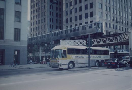 A yellow and white bus with 'Hammond Yellow Coach Lines' on its side is stopped on a city street as a silver rapid transit train travels on an elevated track above it.