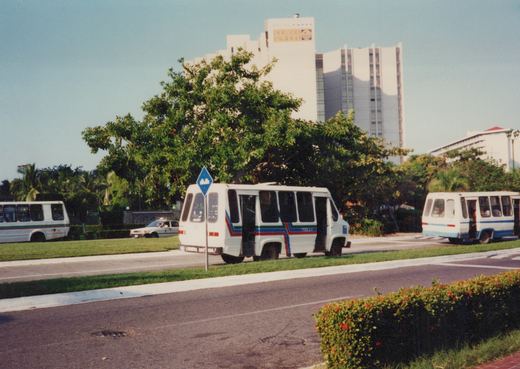 Three white GMC motorcoaches with red, green, and blue stripes are parked along a street with lush green trees and a large hotel named 'Dorado Pacifico' in the background.