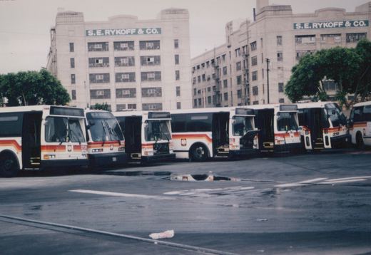 A line of white CTA buses with orange and red stripes are parked on a wet street, with the 'S.E. RYKOFF & CO.' building in the background.