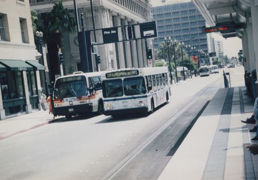 Two white buses with destination signs, one labeled 'SO LONG BEACH' and the other '111 LAKEWOOD BLVD', drive down a city street lined with tall buildings and palm trees.