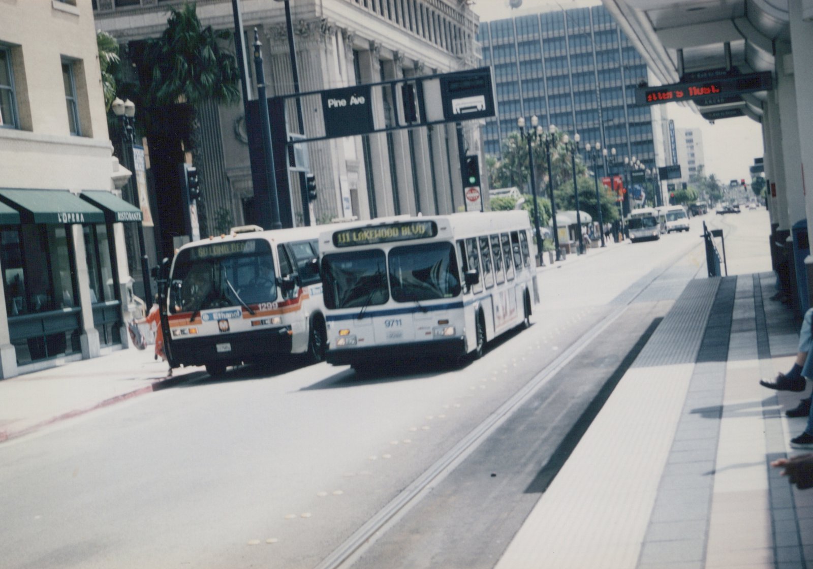 Two white buses with destination signs, one labeled 'SO LONG BEACH' and the other '111 LAKEWOOD BLVD', drive down a city street lined with tall buildings and palm trees.