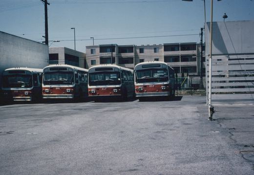 Four red and white CTA buses parked in a line at a depot on a sunny day, with an apartment building behind them and overhead wires for trolleybuses visible.