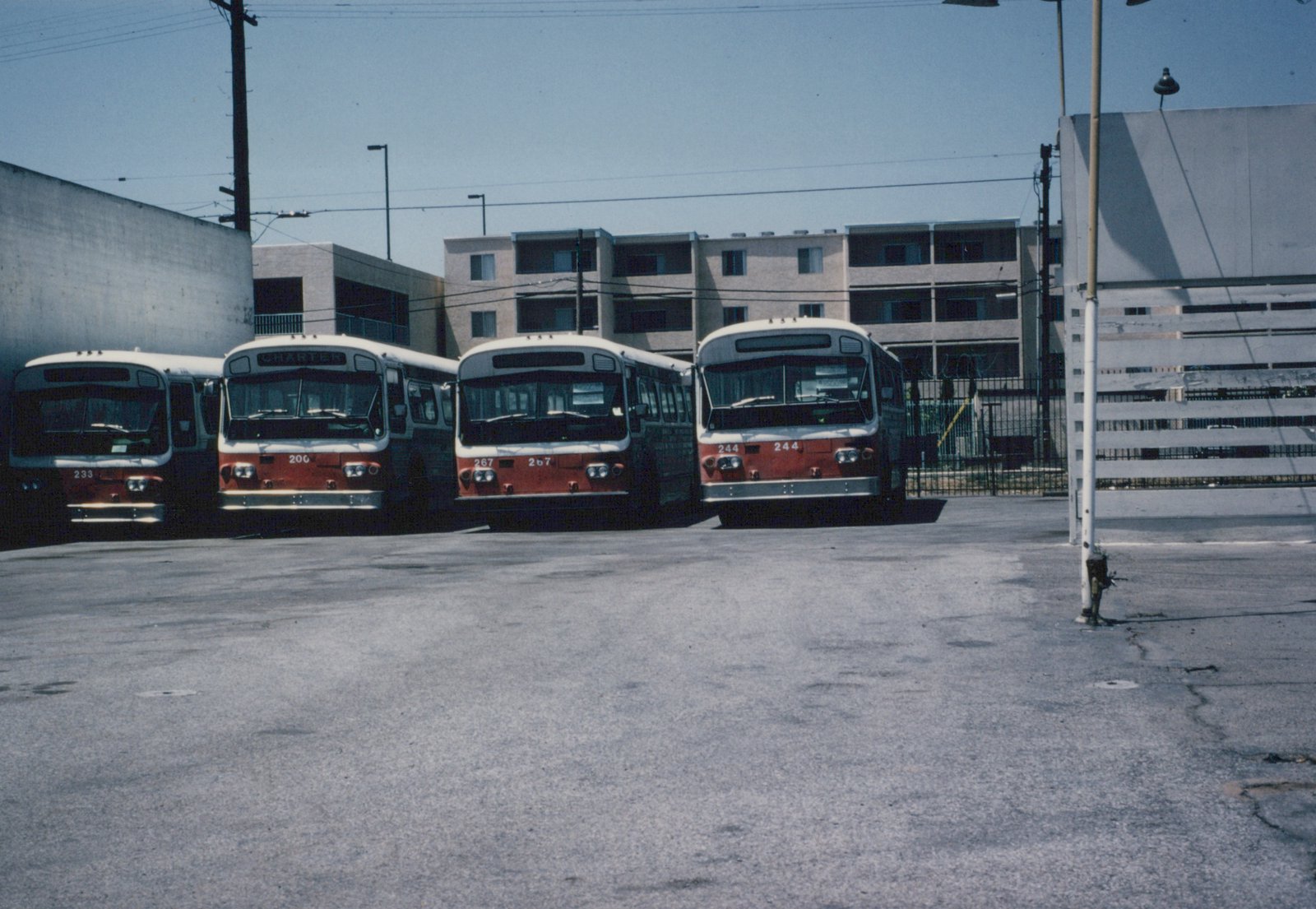 Four red and white CTA buses parked in a line at a depot on a sunny day, with an apartment building behind them and overhead wires for trolleybuses visible.