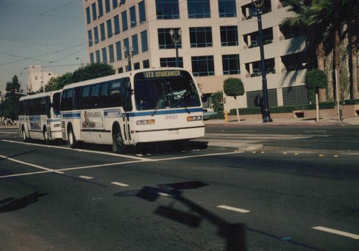 Two white and blue buses with 'METRO RAPID' branding and fleet number 8920 on the front, stopped at a city street intersection with palm trees and a building in the background.