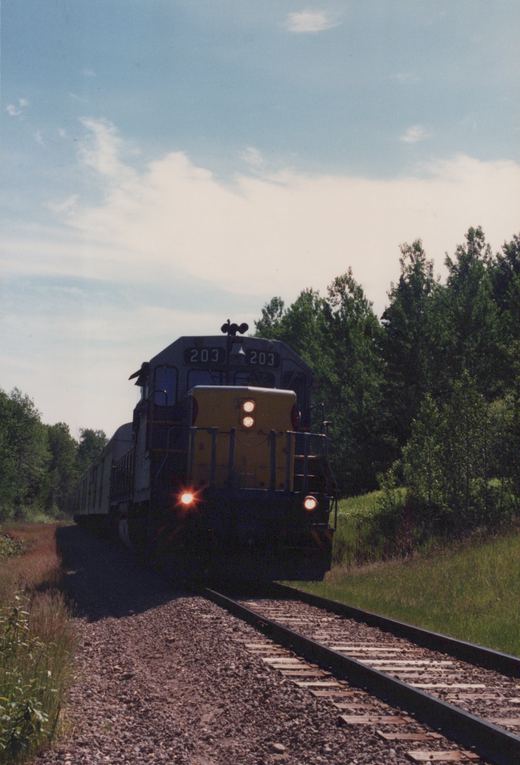 A dark blue and yellow diesel locomotive with the number 203 on its cab approaches on a track through green trees under a light blue sky.