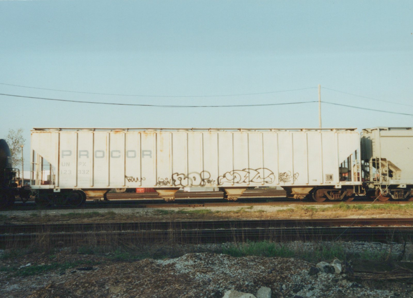 Side view of a white PROCOR freight car with graffiti on its side, parked on railroad tracks with other cars nearby.
