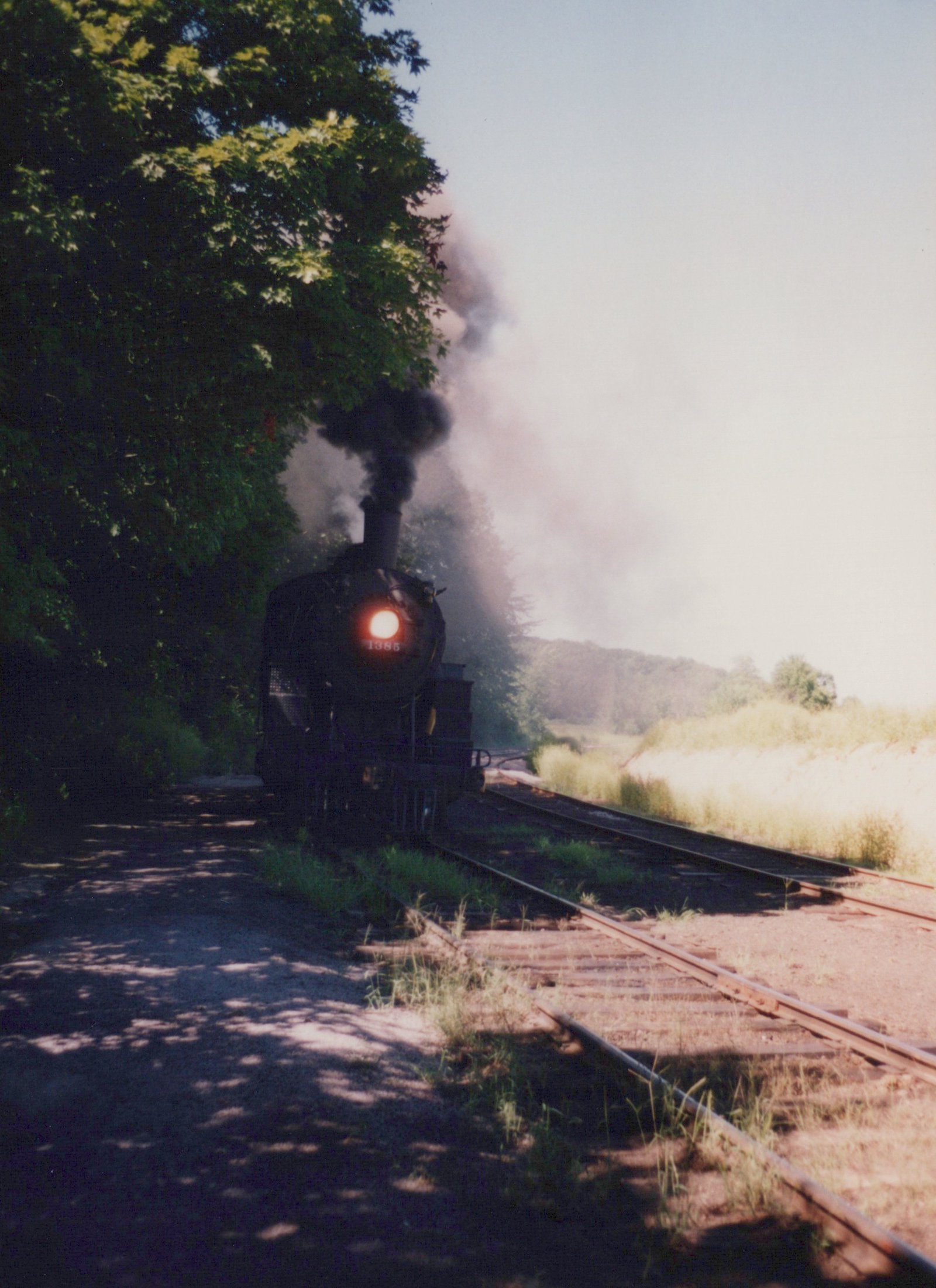 A black steam locomotive with the number 1385 on its front, emitting thick black smoke, moves along tracks flanked by trees and tall grass on a sunny day.