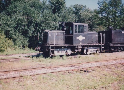 Two black electric locomotives, numbered 4 and D, are parked on a set of tracks surrounded by grass and trees on a sunny day.