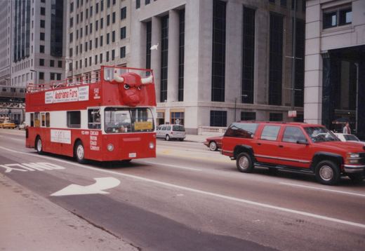 A red and white double-decker tour bus with a bull head on top drives down a city street with cars and buildings in the background.