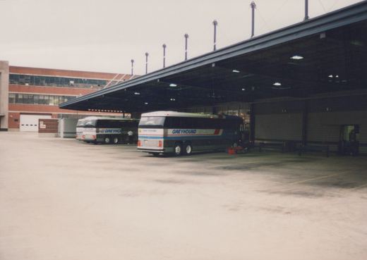 Two Greyhound motor buses with blue, white, and red livery are parked under a large canopy at a bus terminal, with a brick building in the background.