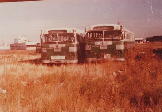 Two green and cream Chicago Transit Authority buses parked side by side in a field of tall, dry grass with industrial buildings in the background.