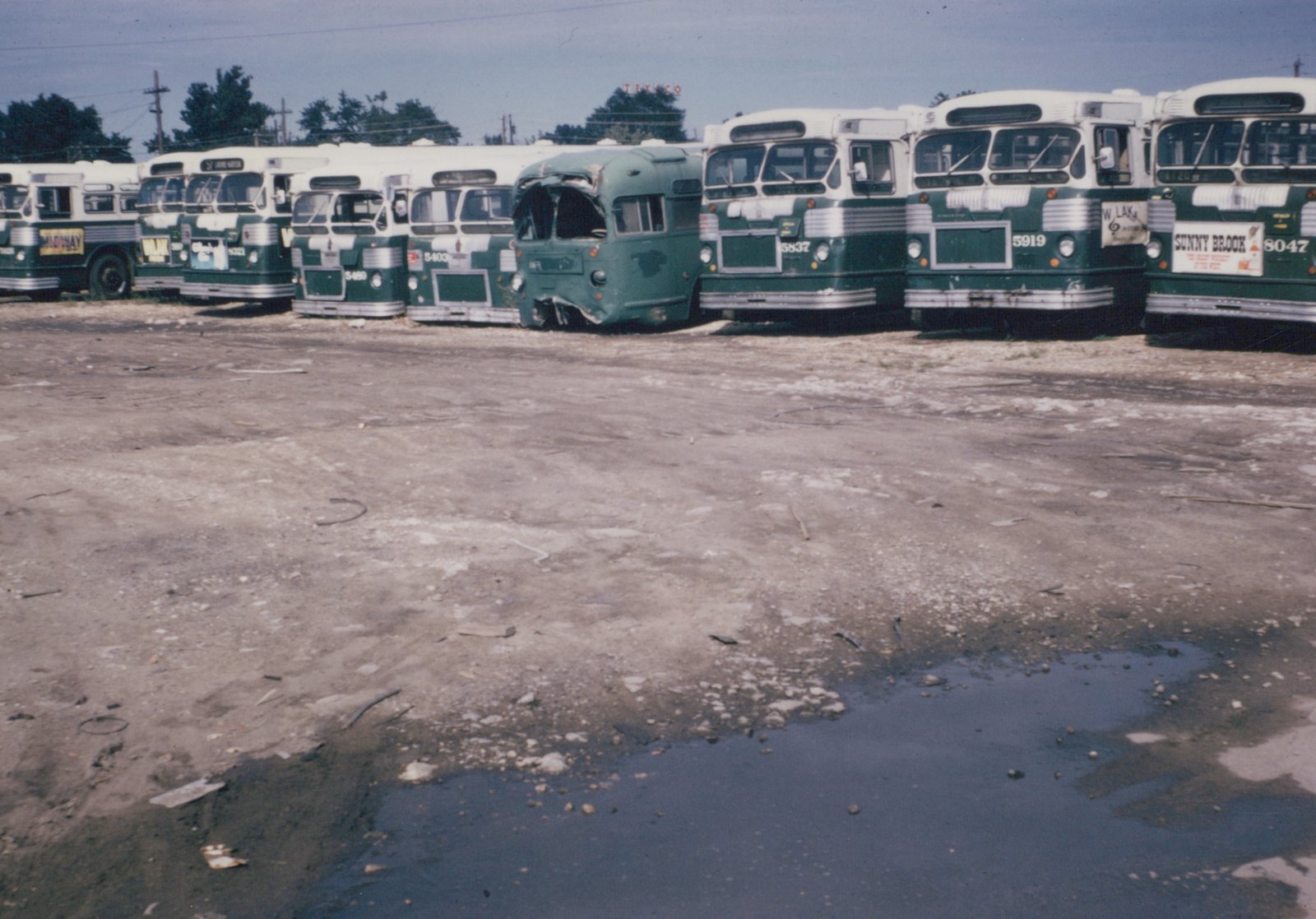 A lineup of green and white CTA buses in a dusty lot, showing fleet numbers and signs of being scrapped, with a Texaco sign in the background.