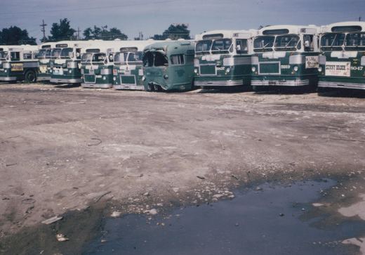 A lineup of green and white CTA buses in a dusty lot, showing fleet numbers and signs of being scrapped, with a Texaco sign in the background.