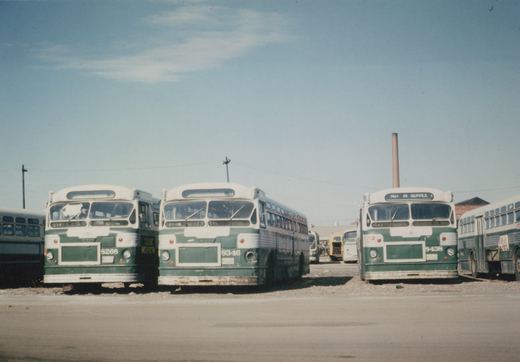 Three green and white CTA buses parked side by side in a gravel yard under a clear sky, with fleet numbers 9268, 8346, and 9438 visible on their fronts.