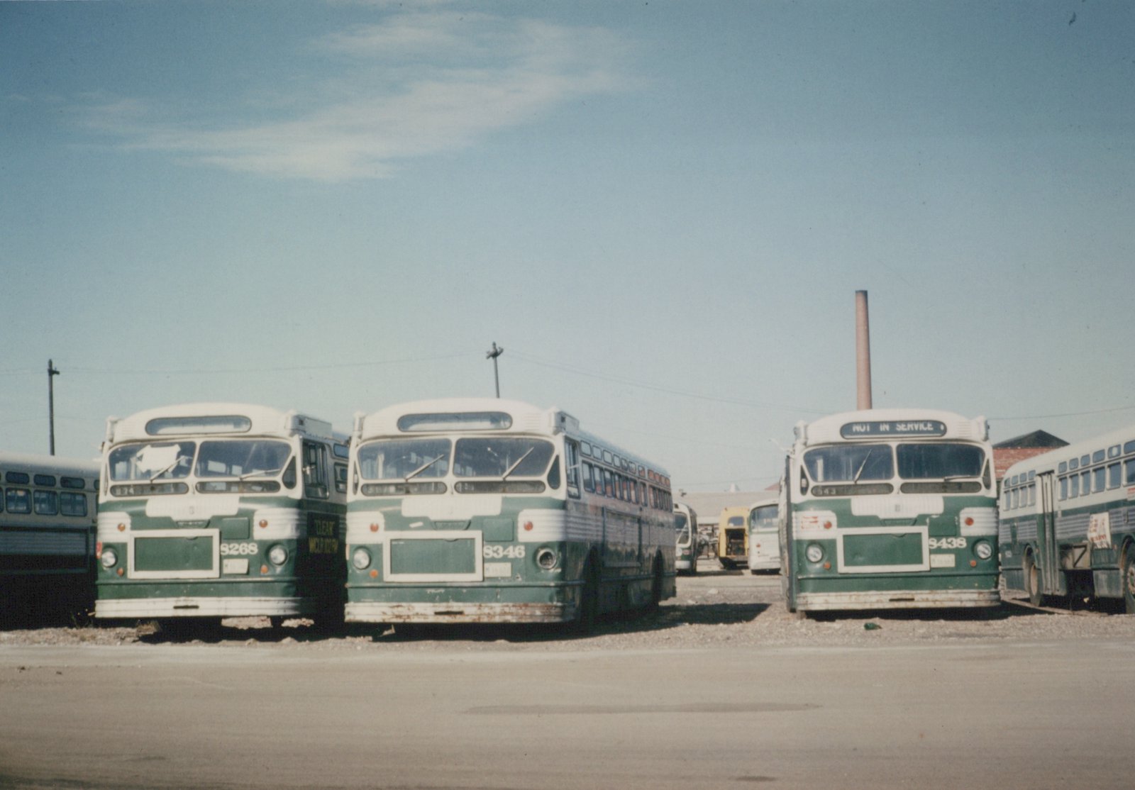 Three green and white CTA buses parked side by side in a gravel yard under a clear sky, with fleet numbers 9268, 8346, and 9438 visible on their fronts.