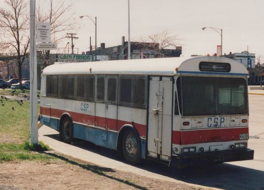 Side-front view of a vintage white and red bus marked 'C.S.P.' parked on a sidewalk next to a grassy area with birds, under a clear sky.