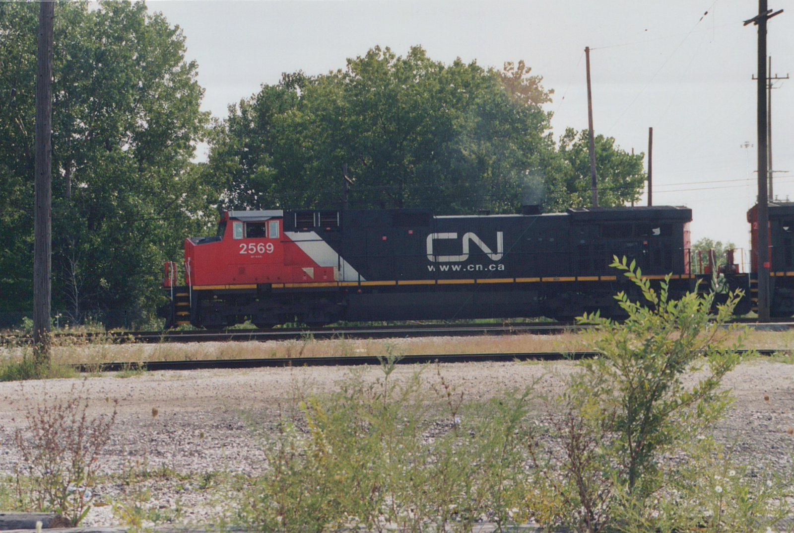 A side view of a red and black Canadian National diesel locomotive numbered 2569, with a large white CN logo, on a yard track behind weeds and gravel, with trees behind it and a second red locomotive at the right edge.