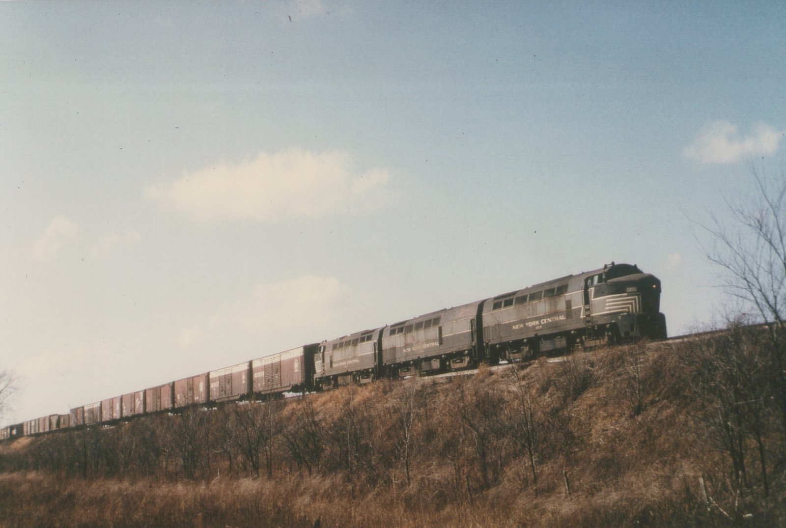 Three dark gray New York Central diesel locomotives with a shark-shaped nose and white stripes pull a long line of boxcars along the top of a brushy embankment under a blue sky.
