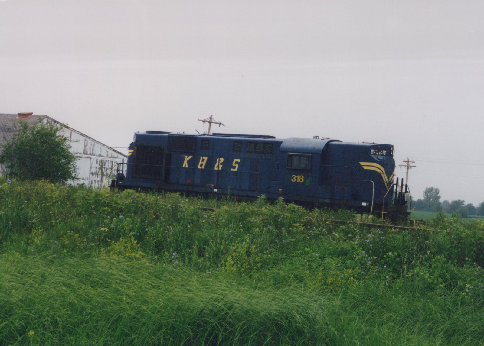 A dark blue diesel locomotive lettered KB&S with the number 318 and yellow nose stripes sits on a weedy track behind a field of tall green grass, with a white shed at left under an overcast sky.