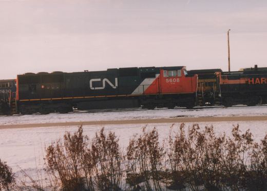 A black locomotive with a red cab, lettered CN and numbered 5608, stands on snowy tracks between a blue locomotive and an orange and black Indiana Harbor Belt locomotive, with dry weeds in the foreground.