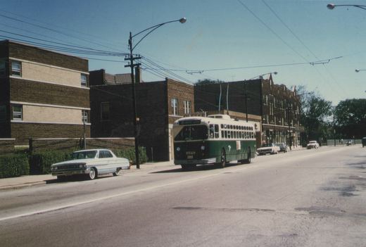 A green and white Chicago Transit Authority trolleybus, number 9529, drives down a tree-lined street with overhead wires, while vintage cars are parked along the curb.
