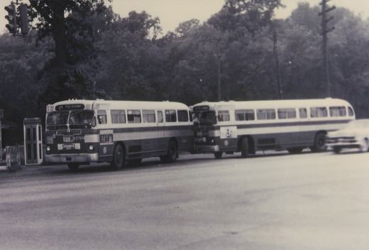 Two vintage city buses, one with the number 1756 on its front, are stopped on a tree-lined street with a telephone booth nearby.