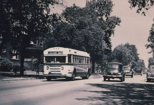 A vintage black and white photo of a Chicago Surface Lines bus, number 4[?]2, driving down a street lined with trees and old cars on a sunny day.