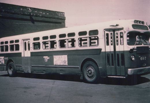 A black-and-white photograph of a Chicago Transit Authority bus, number 697, parked on a street with a destination sign indicating 'HALSTE' and an advertisement for Pixley-Ehlers on its side.