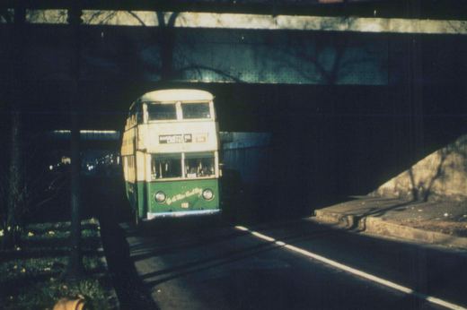 Front view of a cream and green double-decker bus with the number 145, operated by Marquette Transit Co., passing under a bridge.
