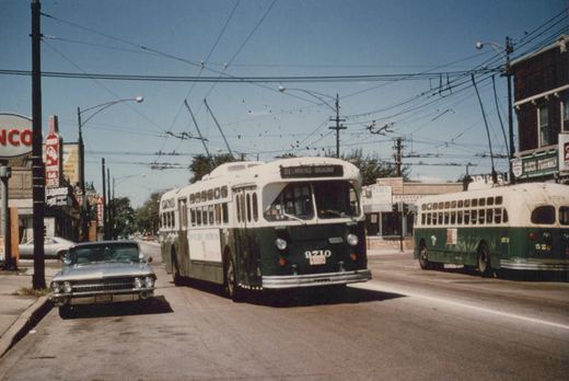 Two green and cream trolleybuses from the Chicago Transit Authority drive down a city street on a sunny day, with one showing route 81 Lawrence-Broadway and a classic car parked nearby.