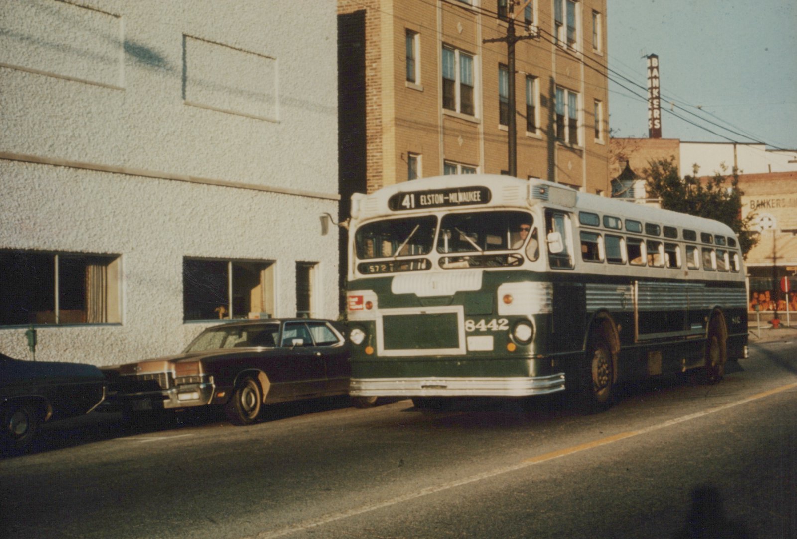 A green and white Chicago Transit Authority bus, number 8442, is shown from a three-quarter front angle on an urban street with buildings in the background and cars parked nearby.