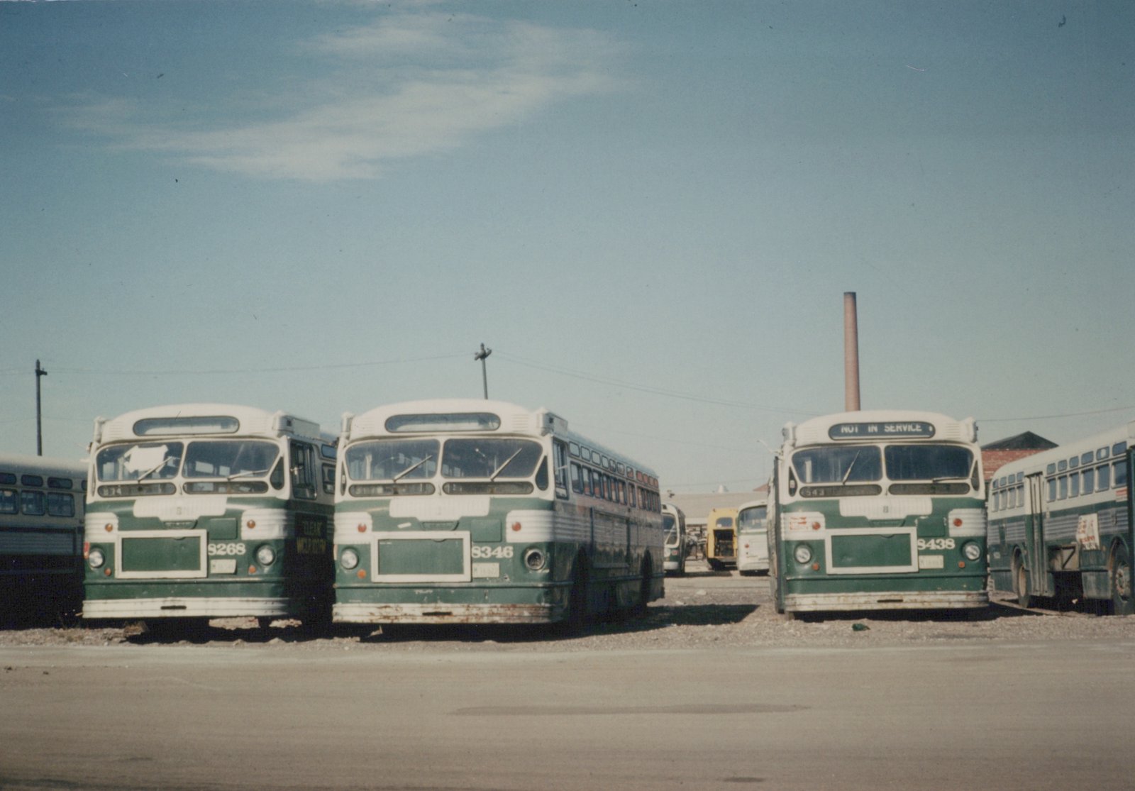 A front view of three old green and cream CTA buses parked side by side in a gravel yard on a sunny day, with the rightmost bus displaying 'NOT IN SERVICE' on its destination sign.