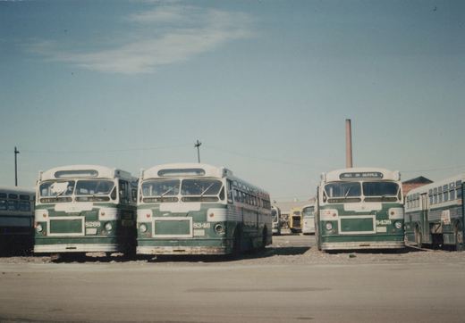 A front view of three old green and cream CTA buses parked side by side in a gravel yard on a sunny day, with the rightmost bus displaying 'NOT IN SERVICE' on its destination sign.