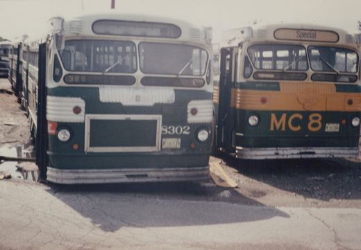 Front view of two Chicago Transit Authority buses, number 8302 and MC 8, parked in a yard with other buses lined up behind them.