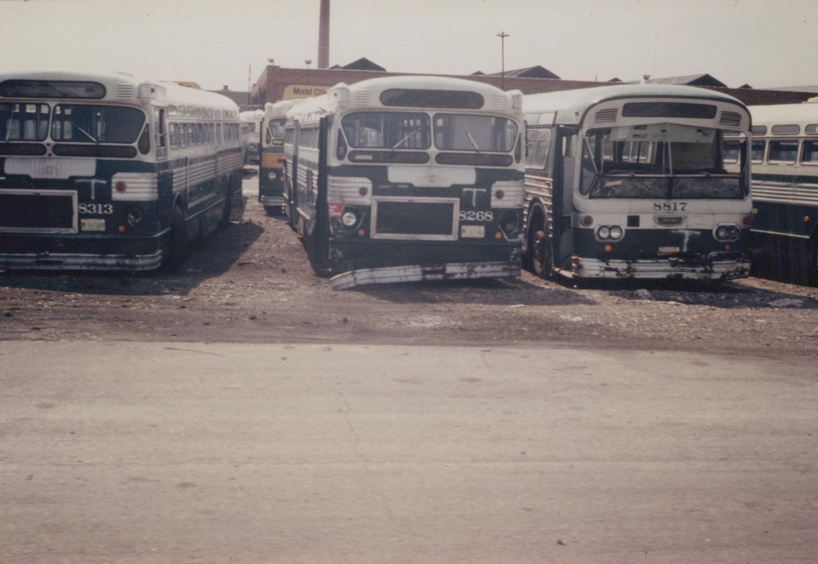 Frontal view of three vintage Chicago Transit Authority buses in a yard, displaying fleet numbers 8313, 8268, and 8817, with a 'Model City' sign visible in the background.