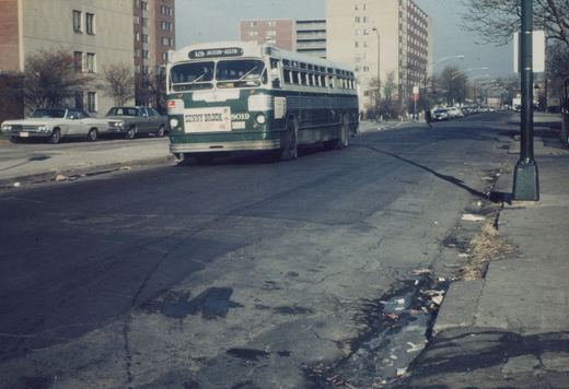 A green and white CTA bus numbered 8019 is driving on a city street lined with apartment buildings and parked cars; a person walks on the sidewalk in the distance.