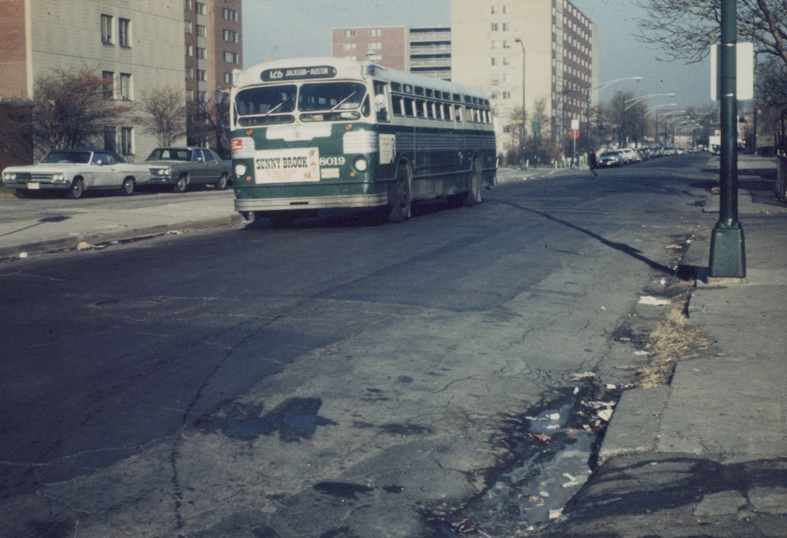 A green and white CTA bus numbered 8019 is driving on a city street lined with apartment buildings and parked cars; a person walks on the sidewalk in the distance.