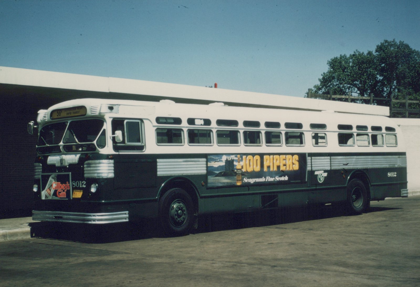 A side view of a white and green Chicago Transit Authority bus, number 8012, with a large '100 Pipers' advertisement on its side, parked under a clear blue sky.