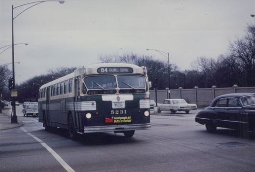 A green and cream Chicago Transit Authority bus with the number 5231 on its front bumper is driving on a city street, with other cars and bare trees in the background.