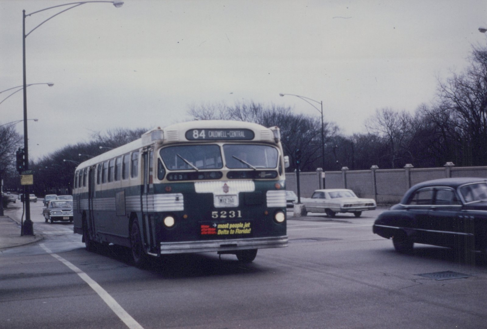 A green and cream Chicago Transit Authority bus with the number 5231 on its front bumper is driving on a city street, with other cars and bare trees in the background.