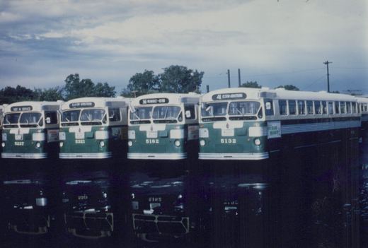 Four green and cream CTA buses, numbered 5132, 5182, 5321, and 5237, are parked side by side in a yard with their reflections visible in a puddle on the ground.