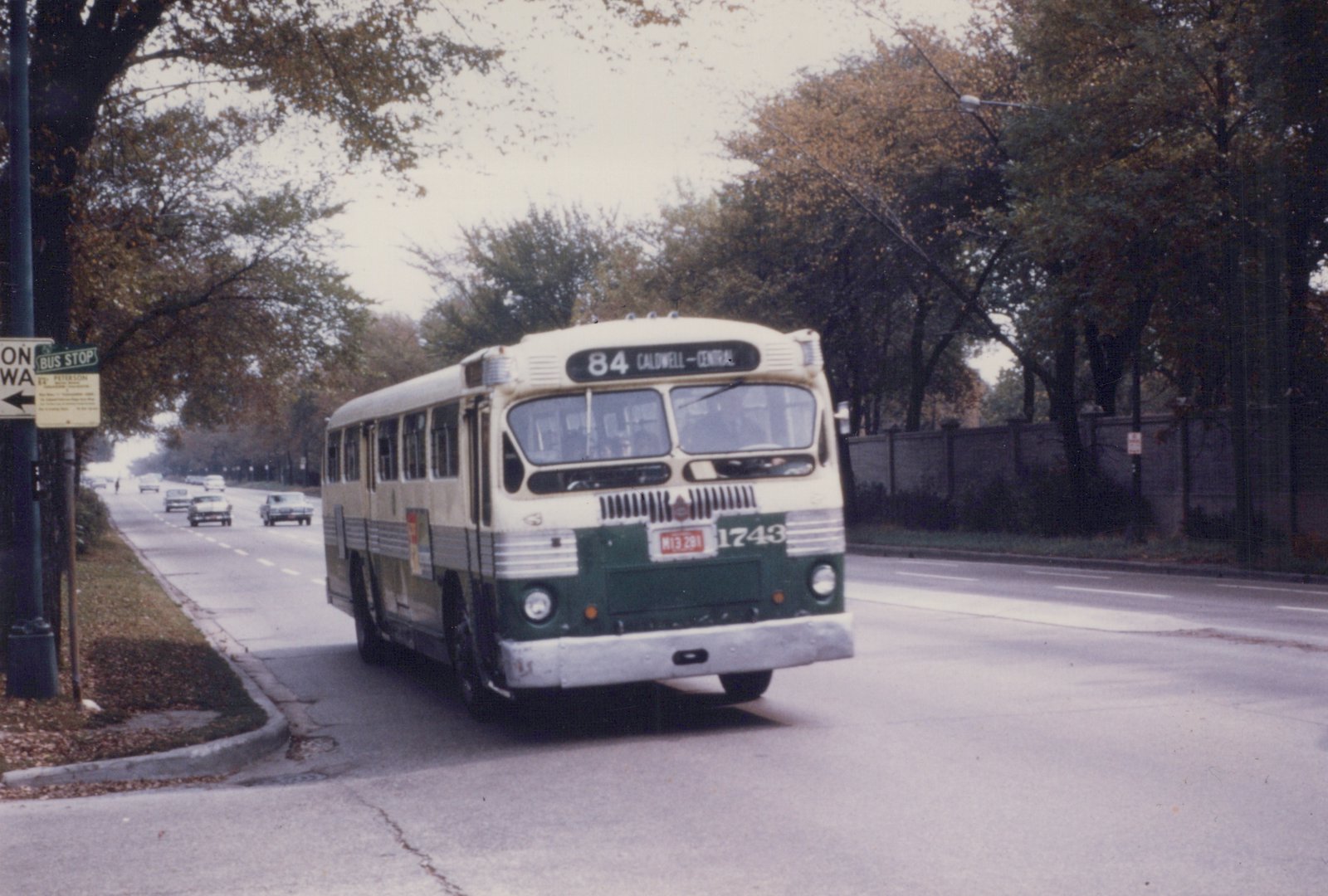 A vintage cream and green CTA bus with the number 1743 on its front is driving down a road lined with trees showing fall colors. A bus stop sign for Peterson is visible on the left.