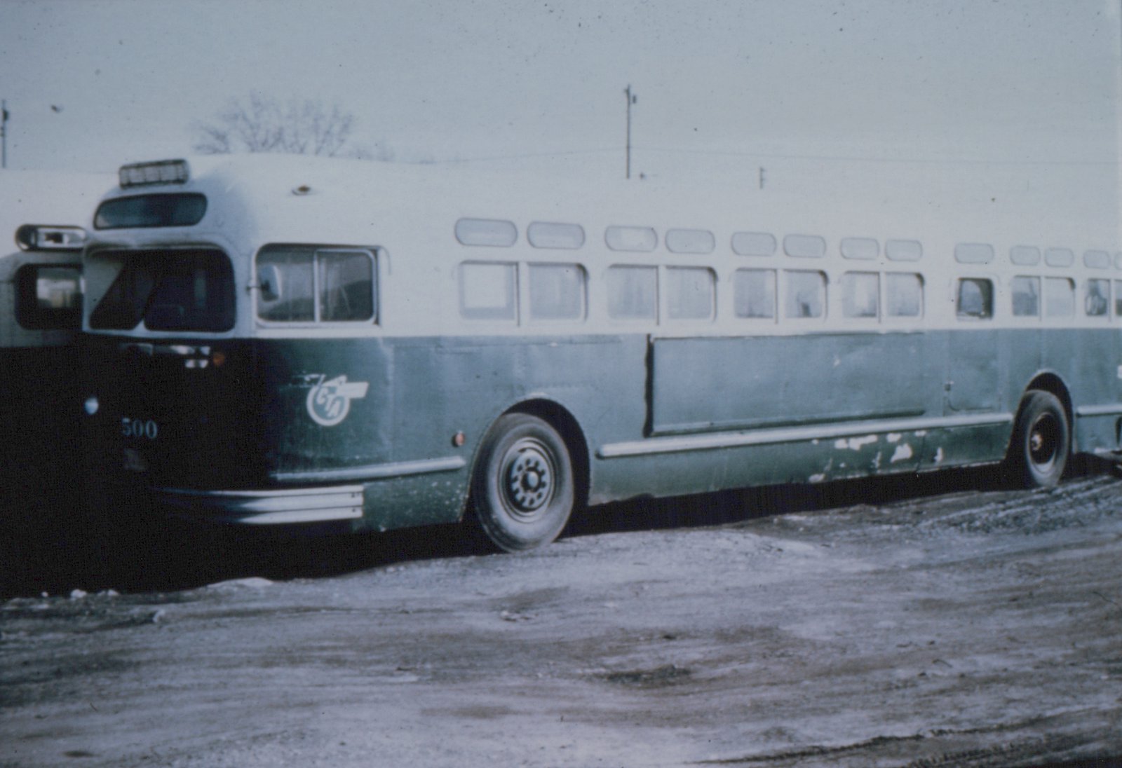 A side-view of a Chicago Transit Authority motor bus, numbered 500, painted in green and white, parked on a snow-covered lot with bare trees in the background.