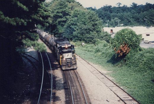 A black and white Norfolk Southern locomotive pulls a freight train of tank cars along a curving track, surrounded by dense green trees and bushes under an overcast sky.